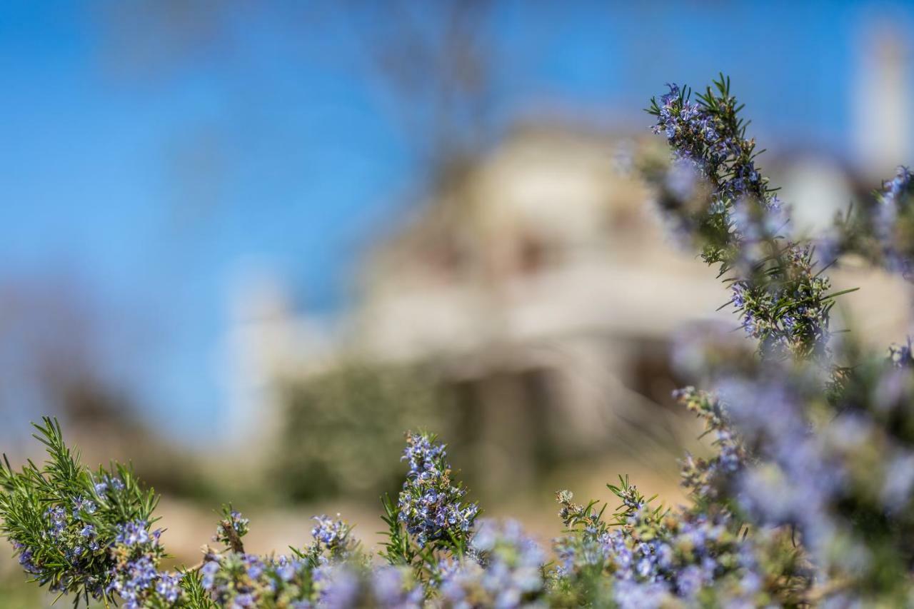 Villa Korina Pinezići Exteriér fotografie